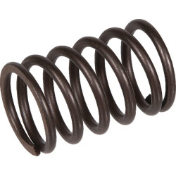 Vožtuvo spyruoklė 691279