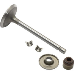 Įsiurbimo vožtuvas 845712