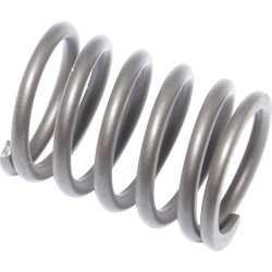 Spyruoklinis vožtuvas 694865