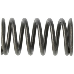 Vožtuvo spyruoklė 692084