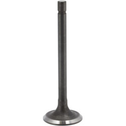 Išmetimo vožtuvas 843752