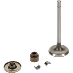 Įsiurbimo vožtuvas 843751