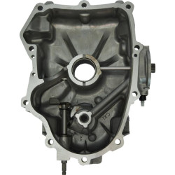 Variklio karteris 594974