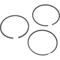 Stūmoklinių žiedų rinkinys .020 692786