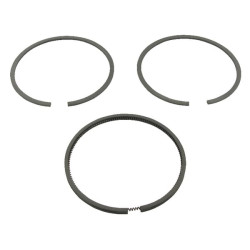 Stūmoklinių žiedų rinkinys .020 499998