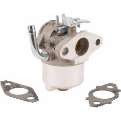 Karbiuratorius 594015WM