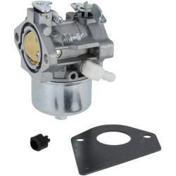 Karbiuratorius, tinka B&S 499158 FGP456475