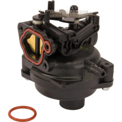 Karbiuratorius 593297