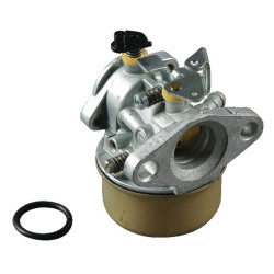 Karbiuratorius 492499