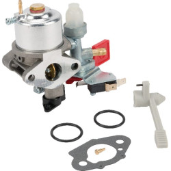 Karbiuratorius 595318