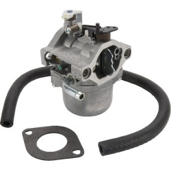 Karbiuratorius 590399