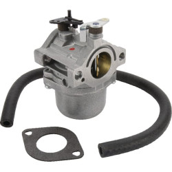 Karbiuratorius 590399