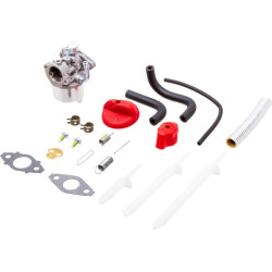 Karbiuratorius 594014