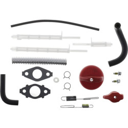 Karbiuratorius 594014