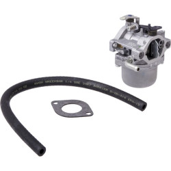 Karbiuratorius 593034