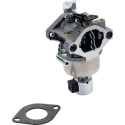 Karbiuratorius 594593