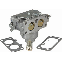 Karbiuratorius 593234