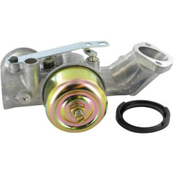 Karbiuratorius 491026