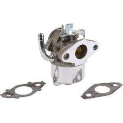 Karbiuratorius 593357