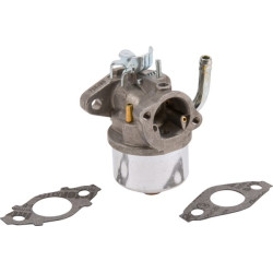 Karbiuratorius 593357