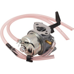 Karbiuratorius 311392GS