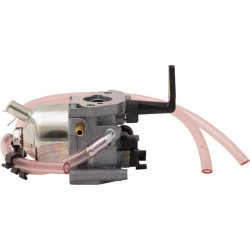 Karbiuratorius 311392GS