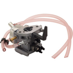 Karbiuratorius 311392GS