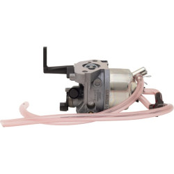 Karbiuratorius 311392GS