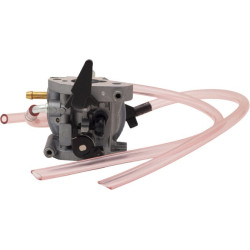Karbiuratorius 311392GS