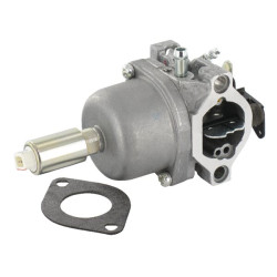 Karbiuratorius 593433