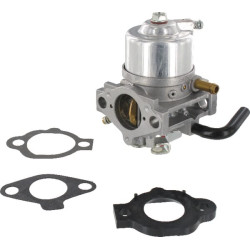 Karbiuratorius 492256