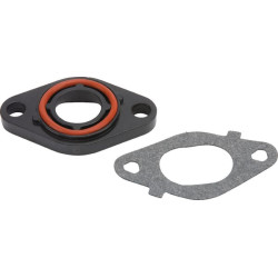 Karbiuratoriaus tarpiklis 796595