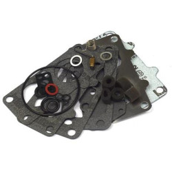 Karbiuratoriaus remonto komplektas 797890