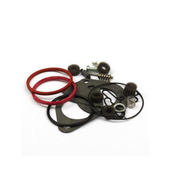 Karbiuratoriaus remonto komplektas 796184