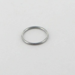 Pavasaris 263073 691855