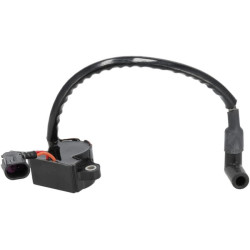 Uždegimo ritė, Briggs & Stratton 84005190