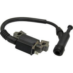 Uždegimo ritė, Briggs & Stratton 797343WM