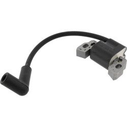 Uždegimo ritė, Briggs & Stratton 595291