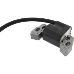 Uždegimo ritė, Briggs & Stratton 595291