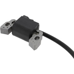 Uždegimo ritė, Briggs & Stratton 595291