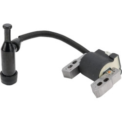 Uždegimo ritė, Briggs & Stratton 590818