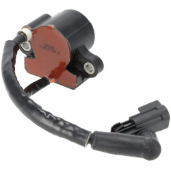 Uždegimo ritė 593856