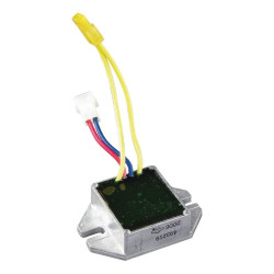 Įtampos reguliatorius 493219