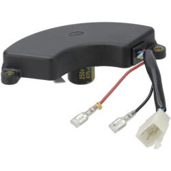 Įtampos reguliatorius 5kw 103764GS