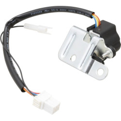 Variklis, žingsninis 847946