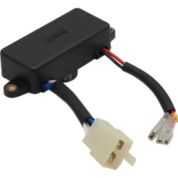 Automatinis įtampos reguliatorius 103654GS