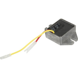 Reguliatorius 698315