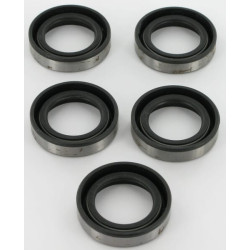 Alyvos sandarikliai 5 x 391483S 4118