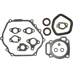 Variklio sandariklių komplektas 593112