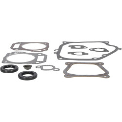 Variklio tarpinių komplektas 594951